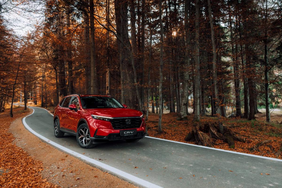 Automobile rulate, Masini de vanzare